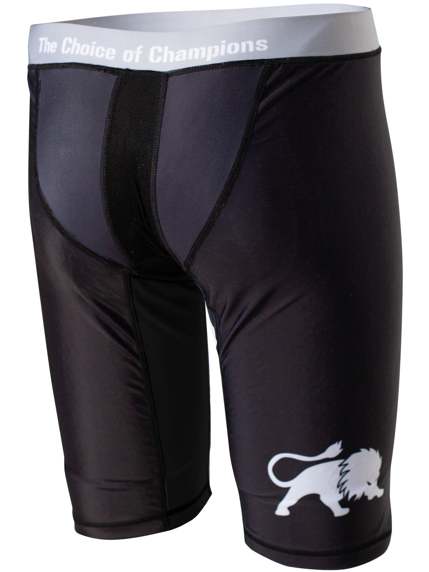 FIGHTNATURE Kompressionsshorts lang